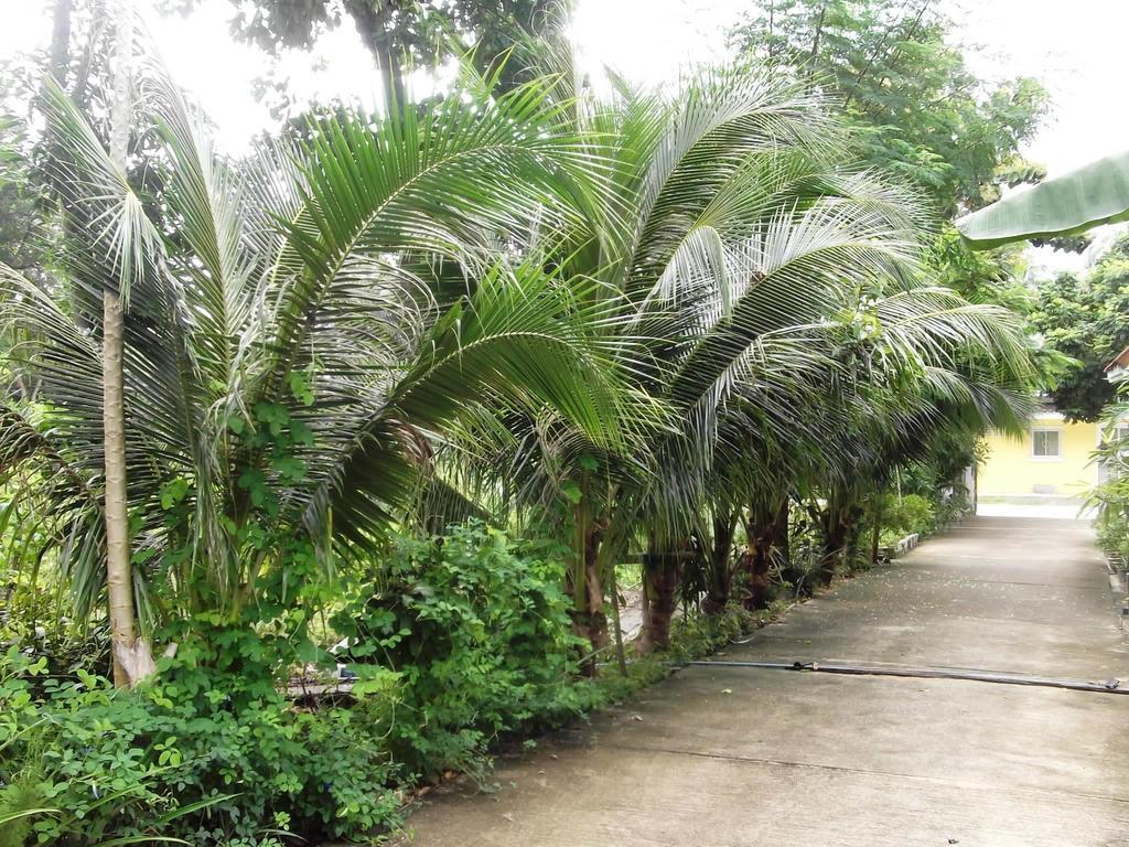 Wilai Villa Lamai Maret Quarto foto